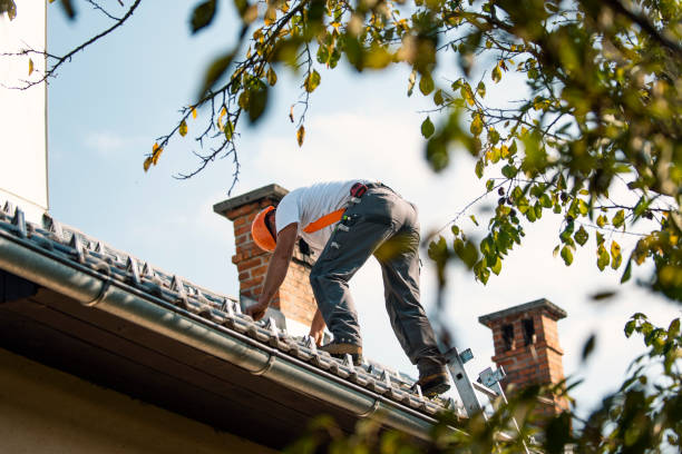 Roof Waterproofing Services in Mandeville, LA