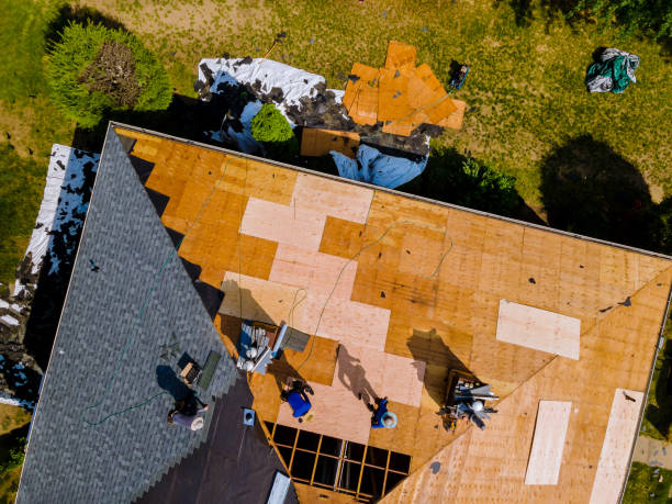 Best Roof Gutter Cleaning  in Mandeville, LA