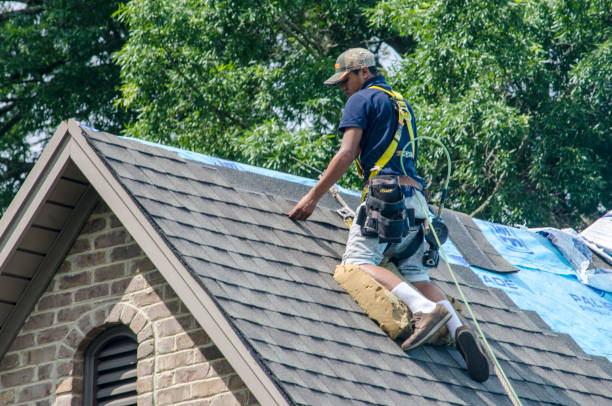 Best Residential Roofing Contractor  in Mandeville, LA