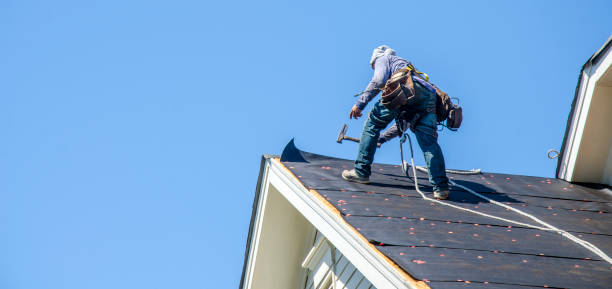 Best Roof Gutter Cleaning  in Mandeville, LA